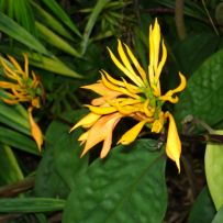 Botanická zahrada