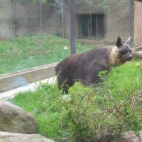 Výlet 3.OA do ZOO
