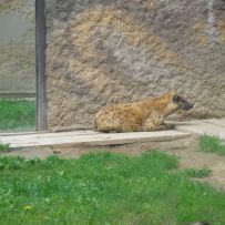 Výlet 3.OA do ZOO