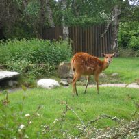 Výlet 3.OA do ZOO