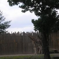 Výlet 3.OA do ZOO