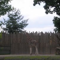 Výlet 3.OA do ZOO