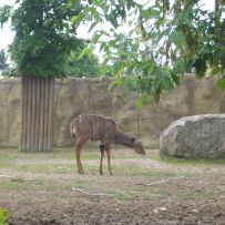Výlet 3.OA do ZOO