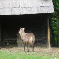 Výlet 3.OA do ZOO