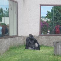 Výlet 3.OA do ZOO