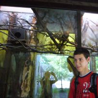 Celodenní výlet 2.PŠa do ZOO