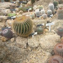 Botanická zahrada