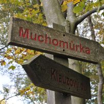 Orientační běh