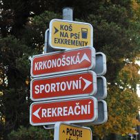 Orientační běh