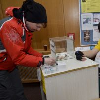 Velikonoční dělánky 2013
