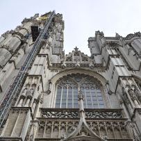Comenius - Belgie