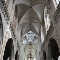 Comenius - Belgie