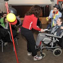 Comenius - Belgie