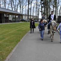 Comenius - Belgie