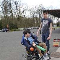 Comenius - Belgie