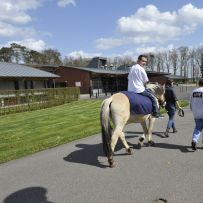 Comenius - Belgie