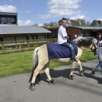 Comenius - Belgie