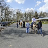 Comenius - Belgie