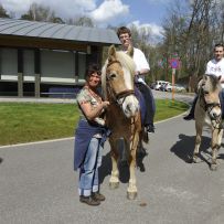 Comenius - Belgie