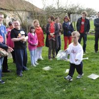 Comenius - Belgie