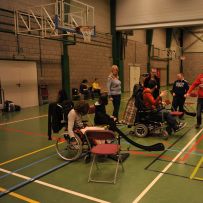 Comenius - Belgie