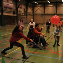 Comenius - Belgie