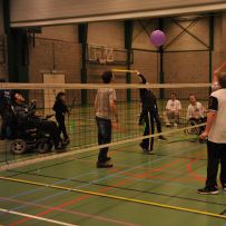 Comenius - Belgie