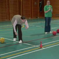 COMENIUS - návštěva zde - hra Kubb