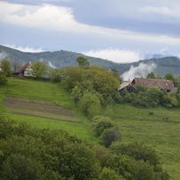 Veletrh fiktivních firem - Rumunsko