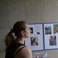 Open Day 2016