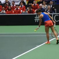 FED Cup Ostrava