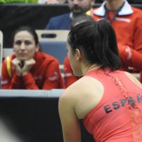 FED Cup Ostrava