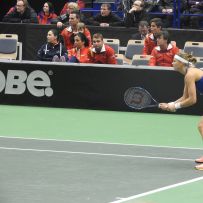 FED Cup Ostrava
