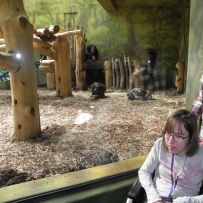 Výlet do ZOO