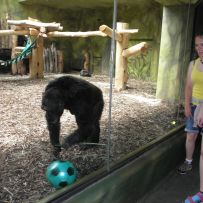 Výlet do ZOO