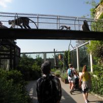 Výlet do ZOO
