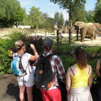 Výlet do ZOO