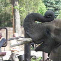 Výlet do ZOO