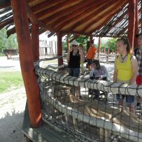 Výlet do ZOO