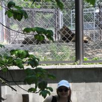 Výlet do ZOO