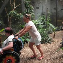 Výlet do ZOO