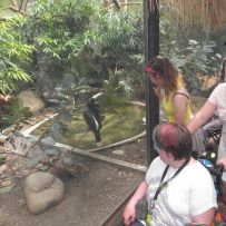Výlet do ZOO