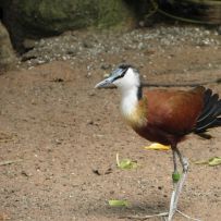 Výlet do ZOO
