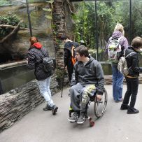 Adaptační kurz: ZOO