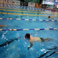 Plavecké závody v Trutnově