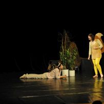 Fest in - divadelni fastival