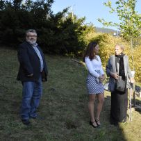 Strom pro Olgu Havlovou