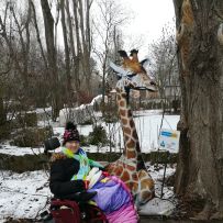 Exkurze 1.PŠ do ZOO