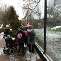 Exkurze 1.PŠ do ZOO