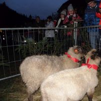 Zahájení Adventu